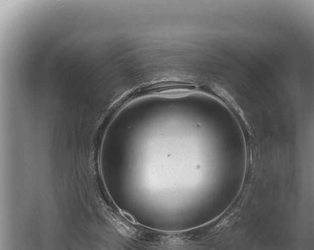 X0000060580249200511071053