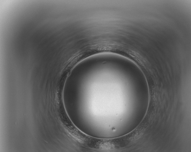 X0000060580258200511071053