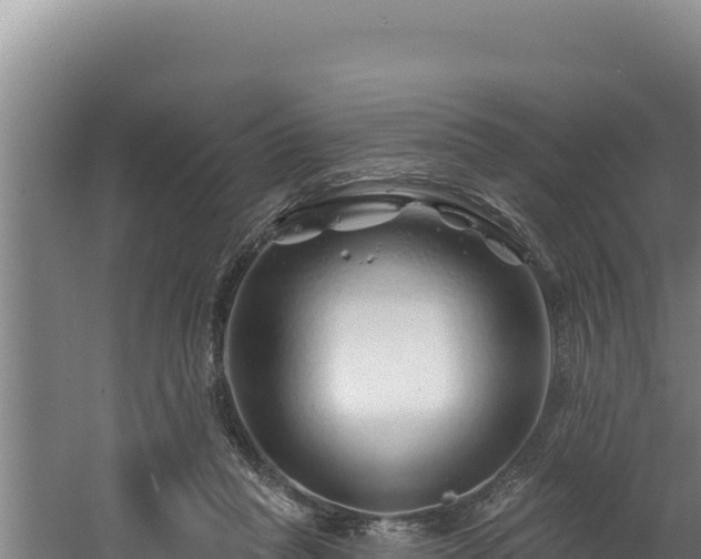 X0000060580261200511071053