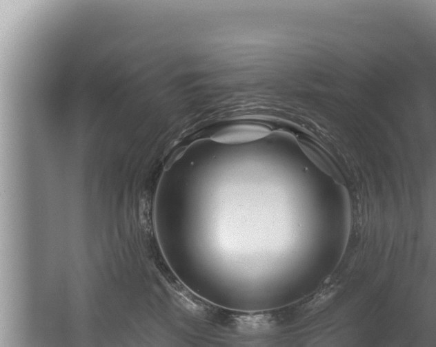 X0000060580281200511071053