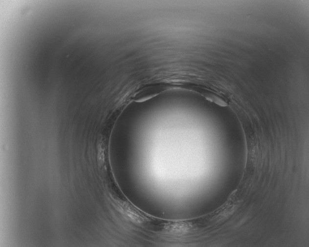 X0000060580282200511071053