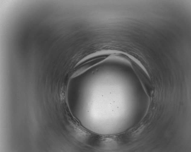 X0000060580285200511071053