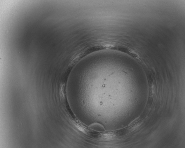 X0000060580286200511071053