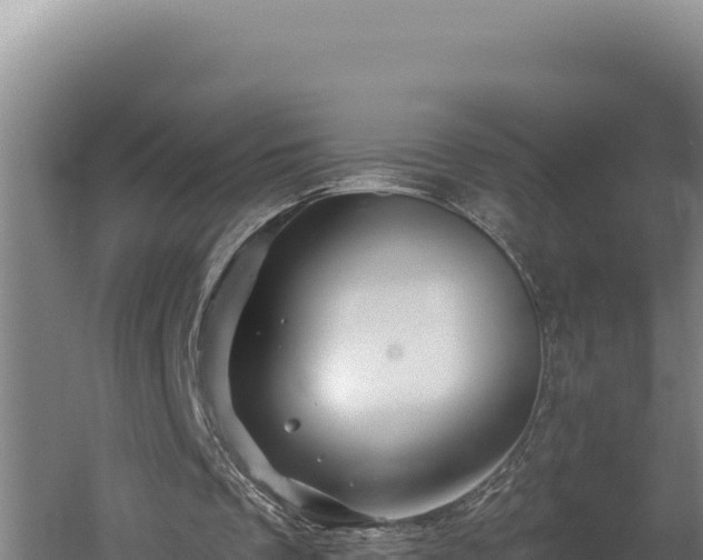 X0000060580289200511071052