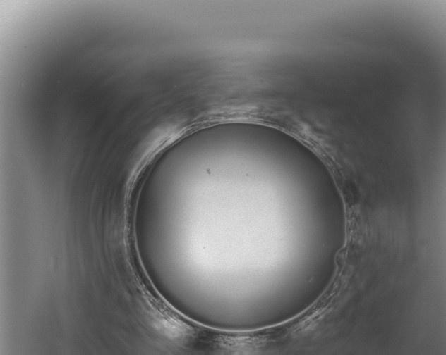 X0000060580293200511071052