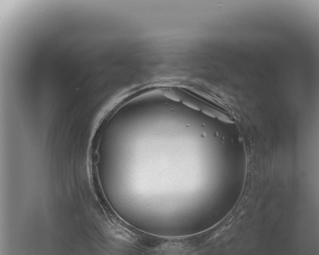 X0000060580294200511071052