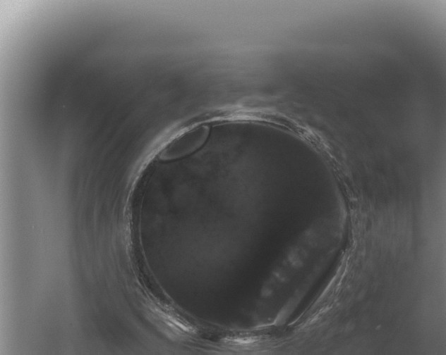 X0000060580295200511071052