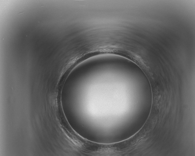 X0000060580299200511071052