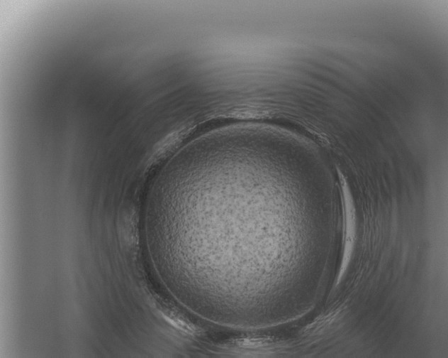 X0000060580303200511071052