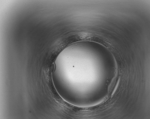 X0000060580319200511071052