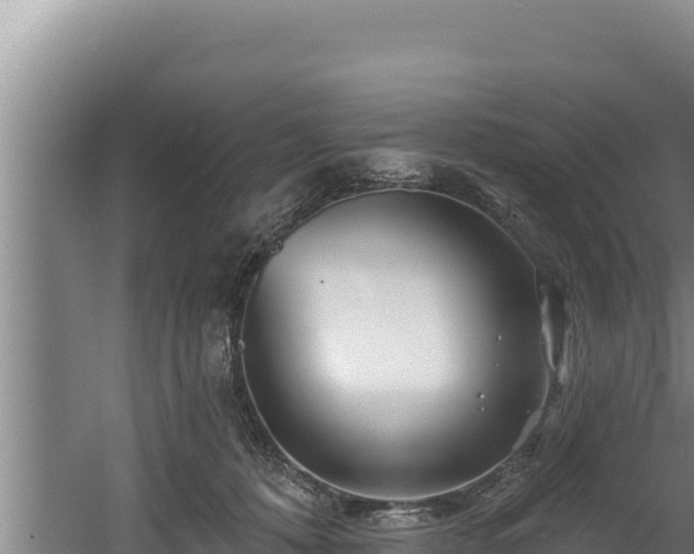 X0000060580320200511071052