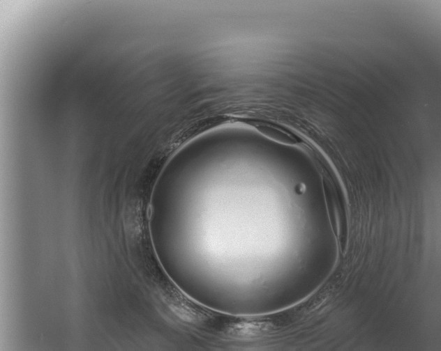 X0000060580323200511071052