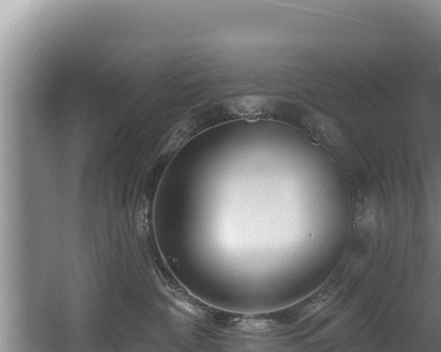 X0000060580332200511071052