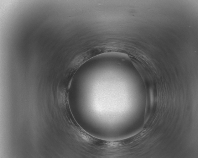 X0000060580333200511071052