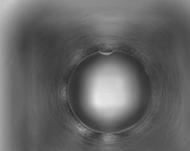 X0000060580336200511071052