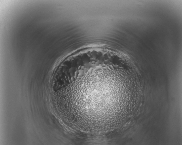 X0000060580337200511071051