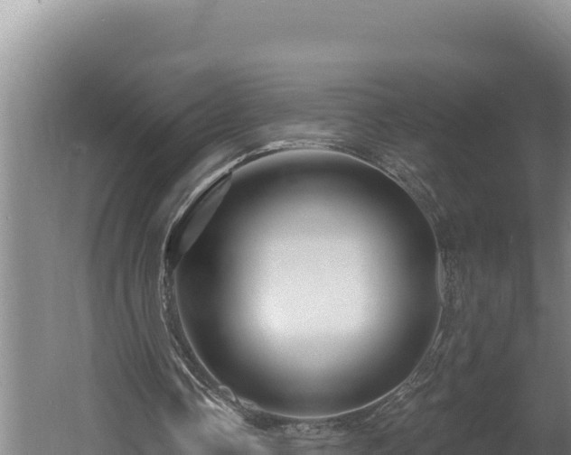 X0000060580338200511071051