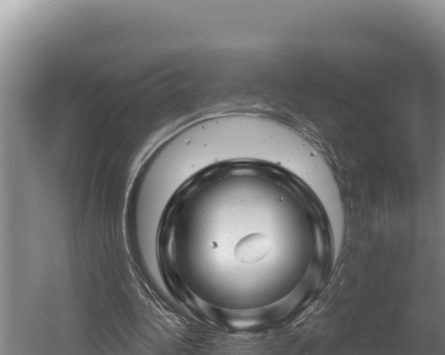 X0000060580340200511071051