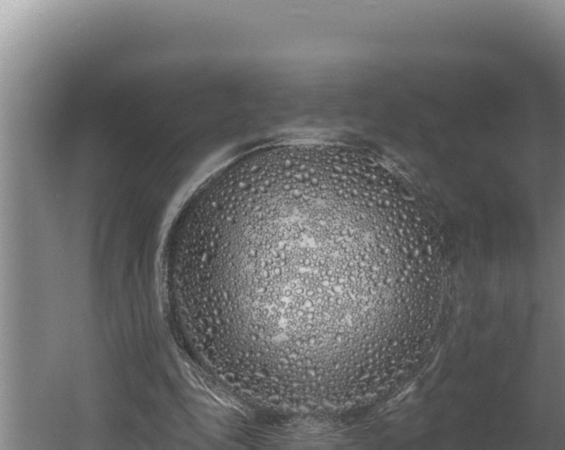 X0000060580343200511071051