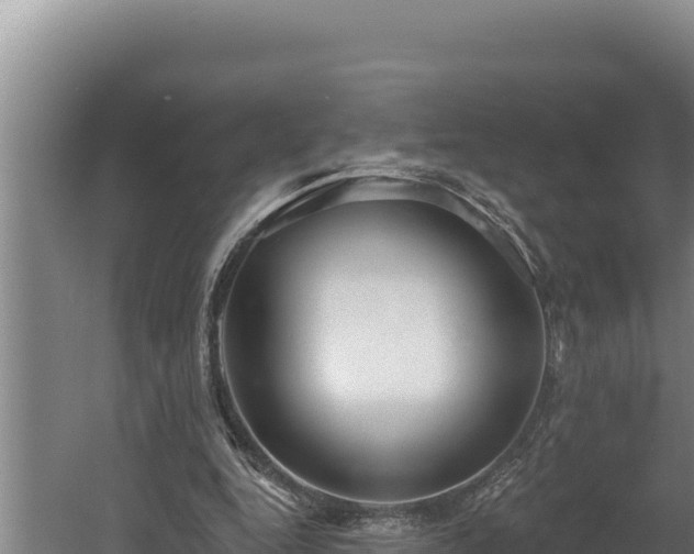 X0000060580344200511071051