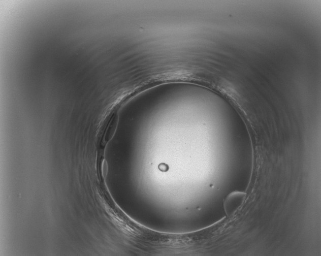 X0000060580345200511071051