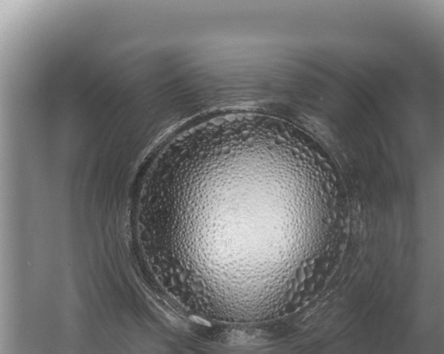 X0000060580346200511071051