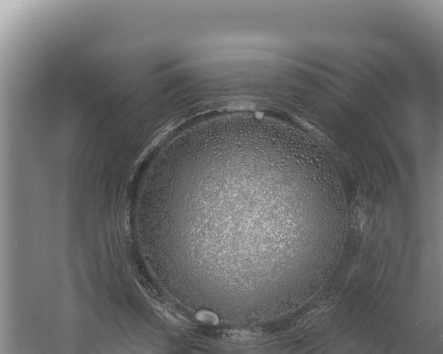 X0000060580347200511071051