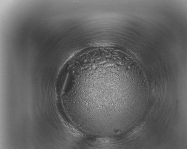 X0000060580351200511071051