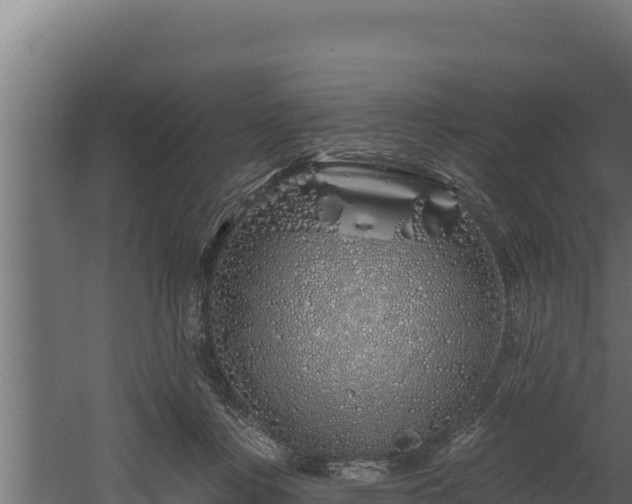 X0000060580359200511071051