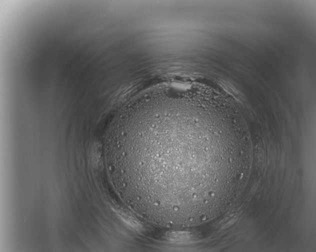 X0000060580361200511071051