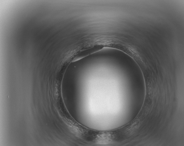 X0000060580362200511071051