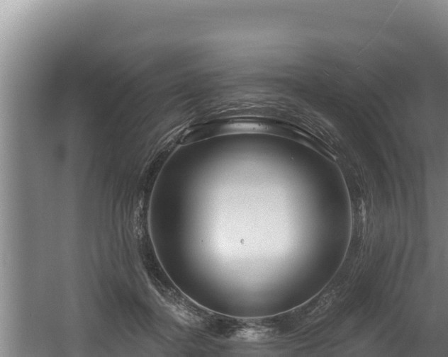 X0000060580364200511071051