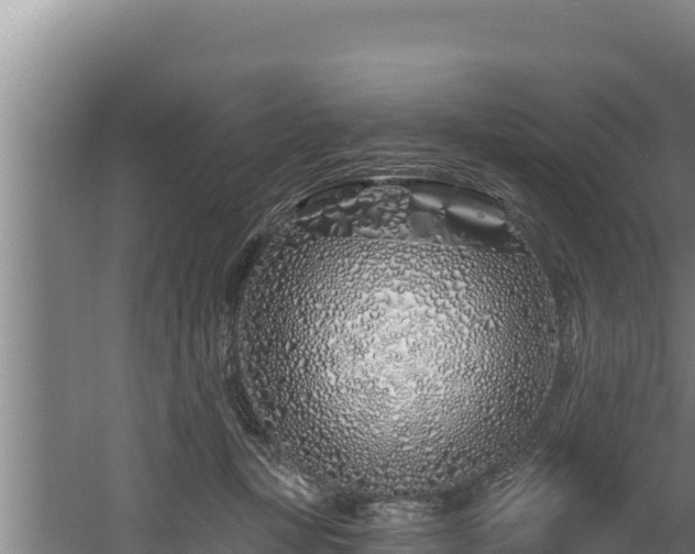 X0000060580367200511071051