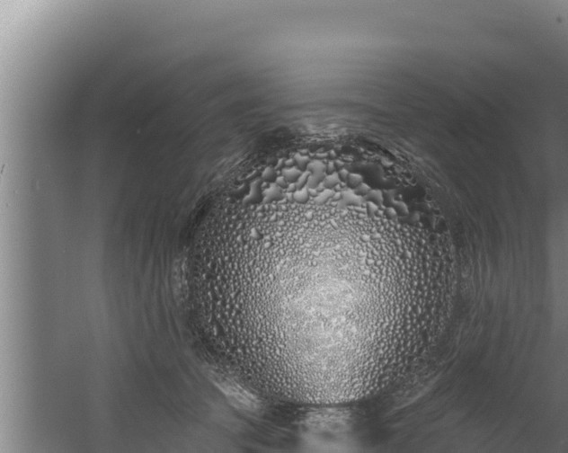 X0000060580369200511071051