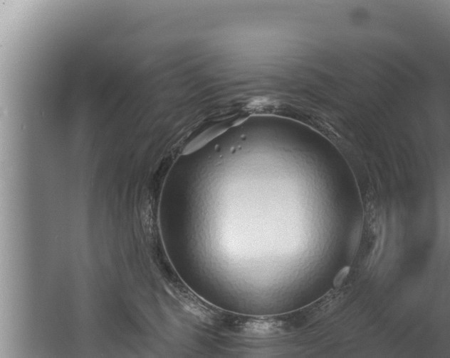 X0000060580375200511071051