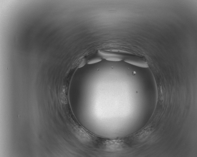 X0000060580378200511071051