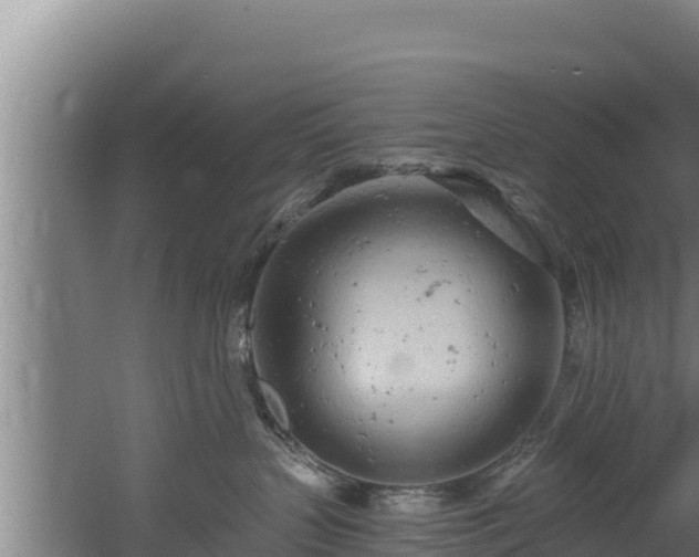 X0000060580383200511071052