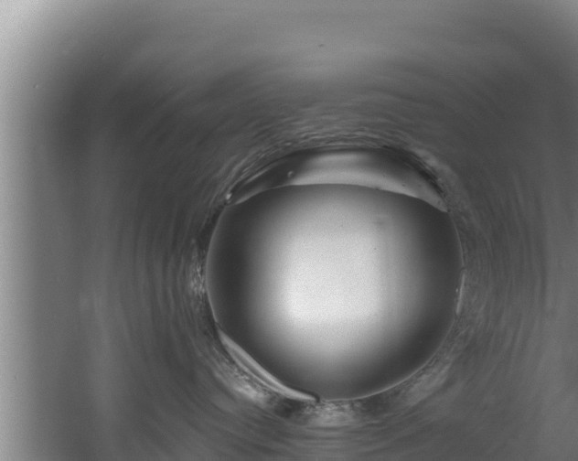 X0000060580384200511071052