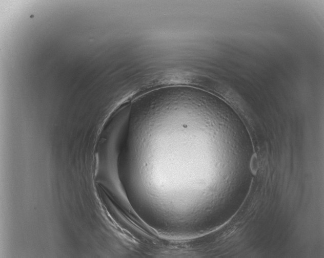 X0000060580386200511071051