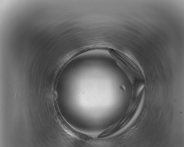 X0000060580389200511071051