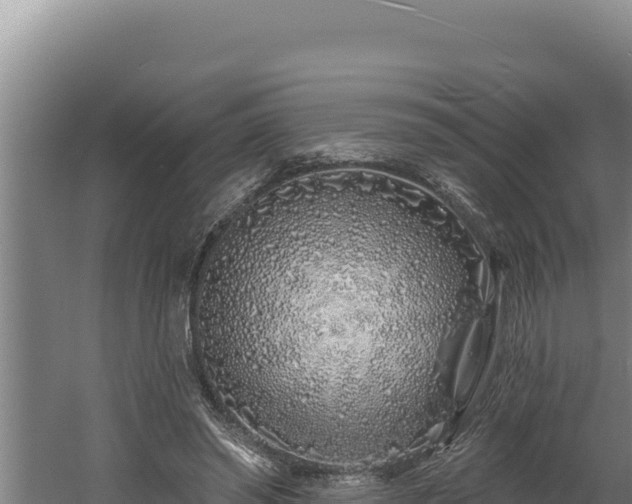 X0000060580398200511071051