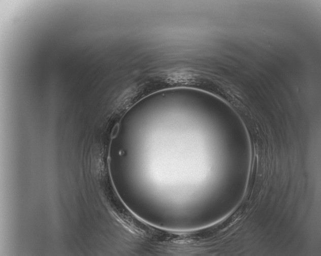 X0000060580408200511071050