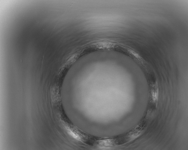 X0000060580411200511071050