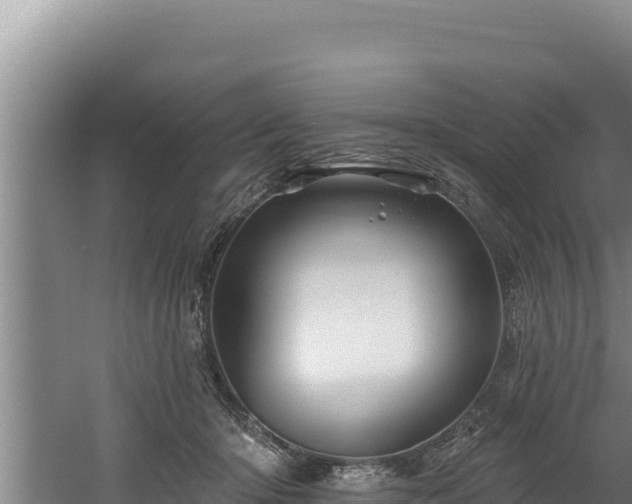 X0000060580414200511071050