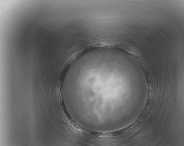 X0000060580415200511071050