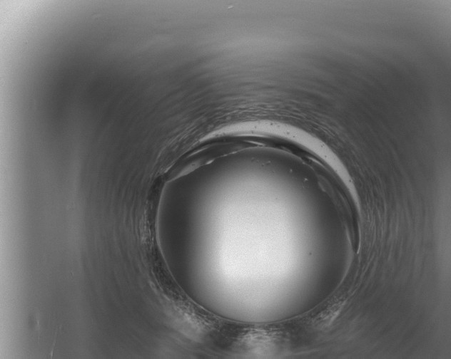 X0000060580416200511071050