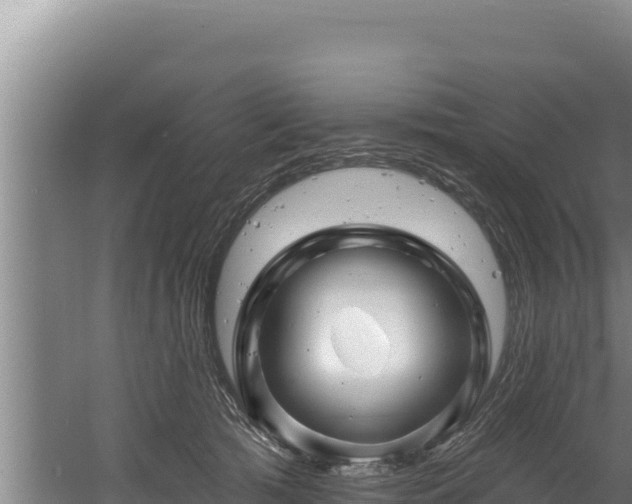 X0000060580417200511071050