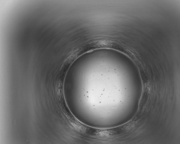 X0000060580423200511071050