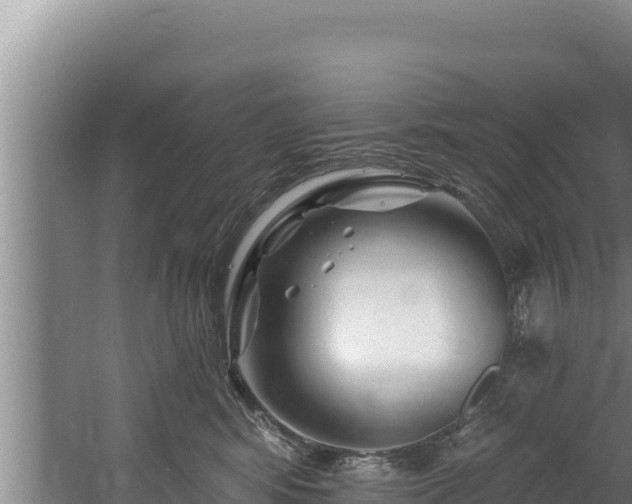 X0000060580424200511071050