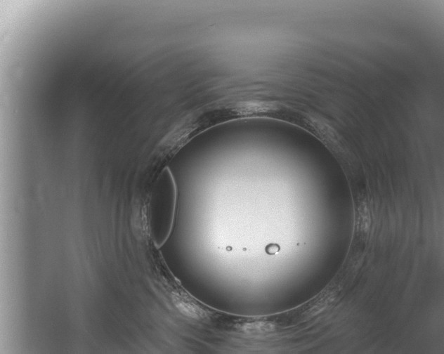 X0000060580426200511071050